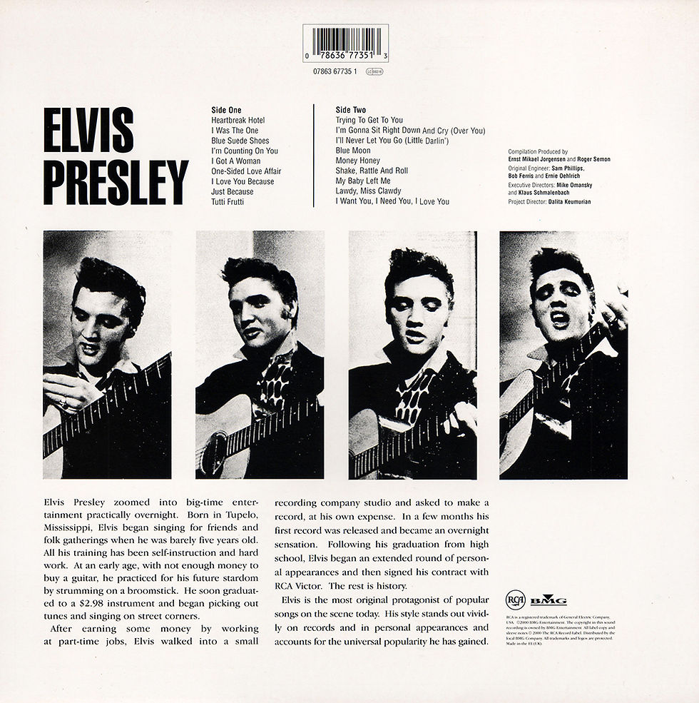 Sleeve Variation 1 - Rear