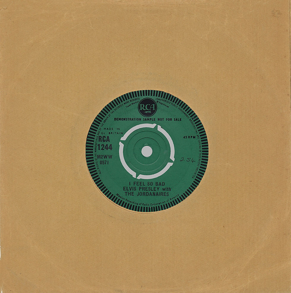 DS - Wild In The Country Demo Sleeve - Side 2