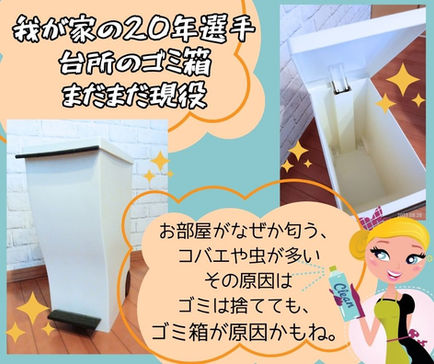 匂いの原因はゴミ箱かも