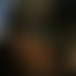 ALL MPs SHOULD RESPECT THE WILL OF PARLIAMENT & REJECT THE REACTIVATION OF SECTION 4(5) OF SOSMA