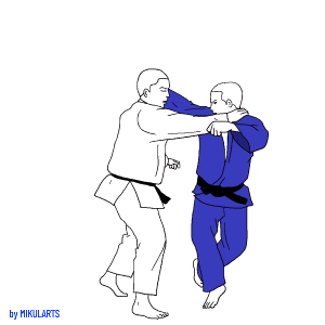 Judo-move-1.gif