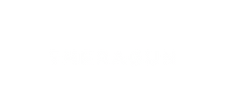 Theragun.png
