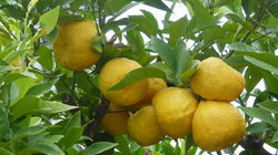 P1050858