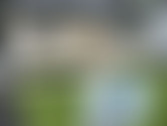 BEFORE! - From Faded Yellow to Bold Black: Vinyl Siding