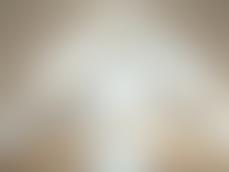 Maximise Space with Attic Conversions