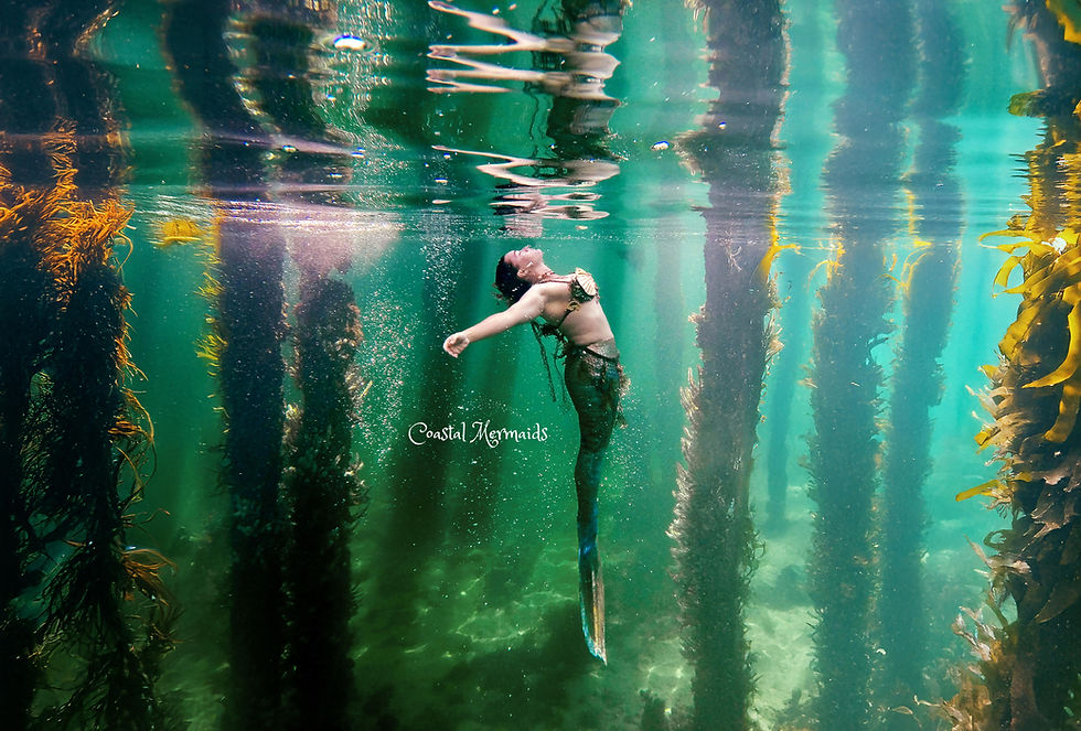 a mermaid in her natural habitat enjoying the sun that gleams through to the ocean floors.