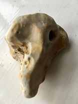 IMG_3816.JPG