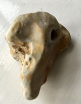 IMG_3816.JPG
