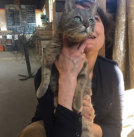 LKarty-photo-cat.jpg