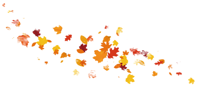 紅葉_edited.png