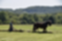howell farm plowing.png