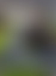 Spring Photography display