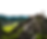 Untitled design - 2025-05-26T064703.186.png