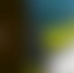 Ha Long Bay vs Ninh Binh: Which One Should You Choose?