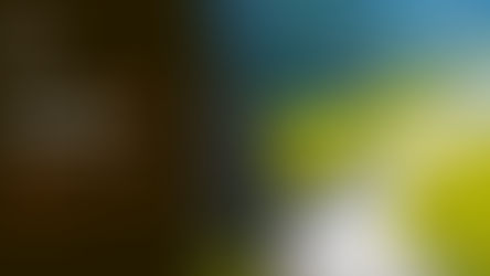 Ha Long Bay vs Ninh Binh: Which One Should You Choose?