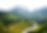 Untitled design (91).png