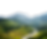 Untitled design (91).png