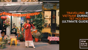 A Vietnamese girl enjoying tet holiday