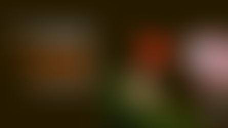 picture of visa vietnam