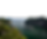 Untitled design (98).png
