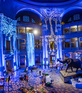 National Museum of Natural History room shots Pixelme studio photo