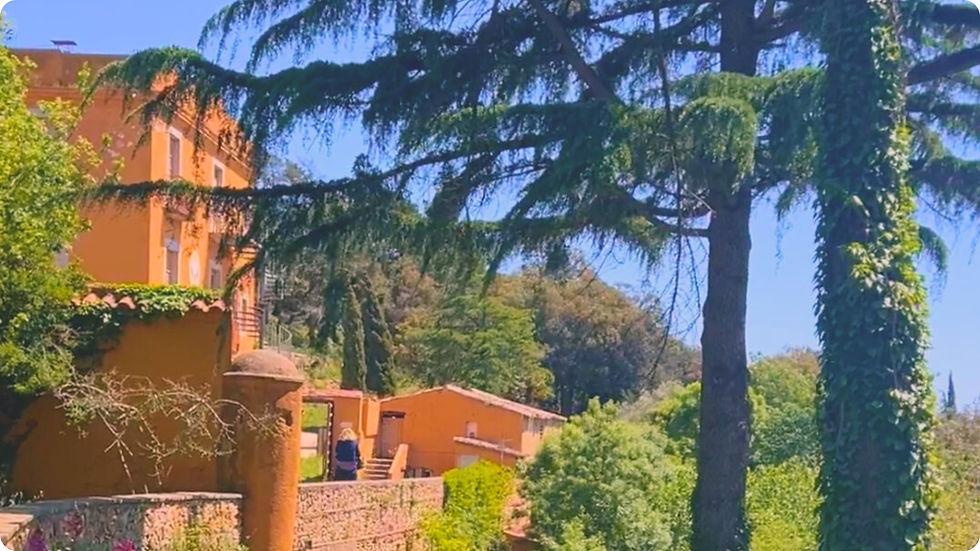 תמונות לאתר (4)