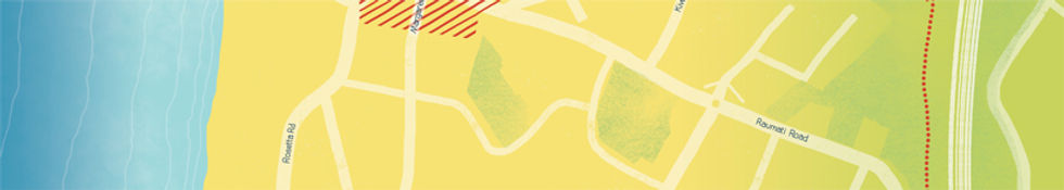 ourvisionforraumati_slice_map.jpg