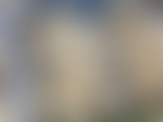 New Chinese Garlic Arrived to Albania