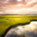 1920px-square-banner-wetland-estuary.jpg