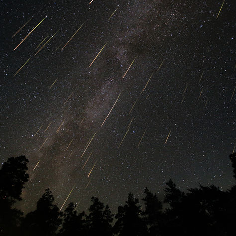 Larmes du Saint-Laurent