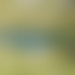 Étang de l'Estanyó