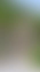 Sant Serni de Llorts Church