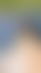 The marmot, a typical animal of the Andorran's mountains