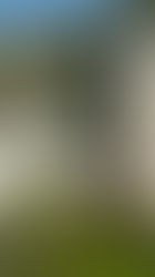 Church of Sant Esteve, romanesque art in Andorra la Vella