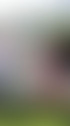 Encamp's Town Festival