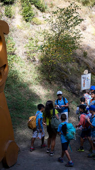 Andy's forest: the new route that will delight the little ones