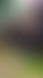 Iglesia San Jaume dels Cortals