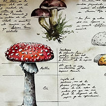 2021-10-07 09.19_edited.jpg