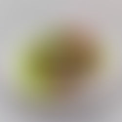 Vaffelsøndag med "Hilde-karbis"...