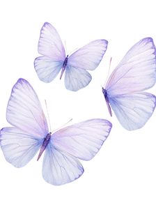 Untitled design - 3.png