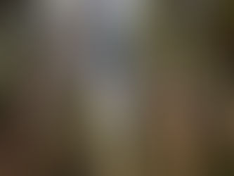 Last Leg! Wright’s Beach and Redwood National Park!