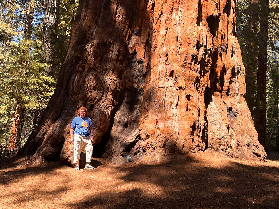 Oakhurst! Eagles, Easter, Big Trees, El Capitan and more!