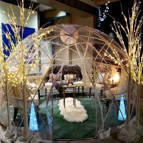 igloo 1.jpg