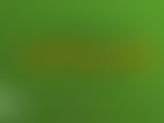 FFF- documentari on environmental festival