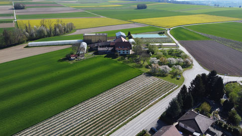 DJI_0696.JPG