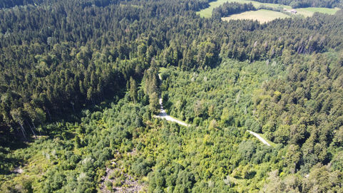 DJI_0305.JPG.jpg