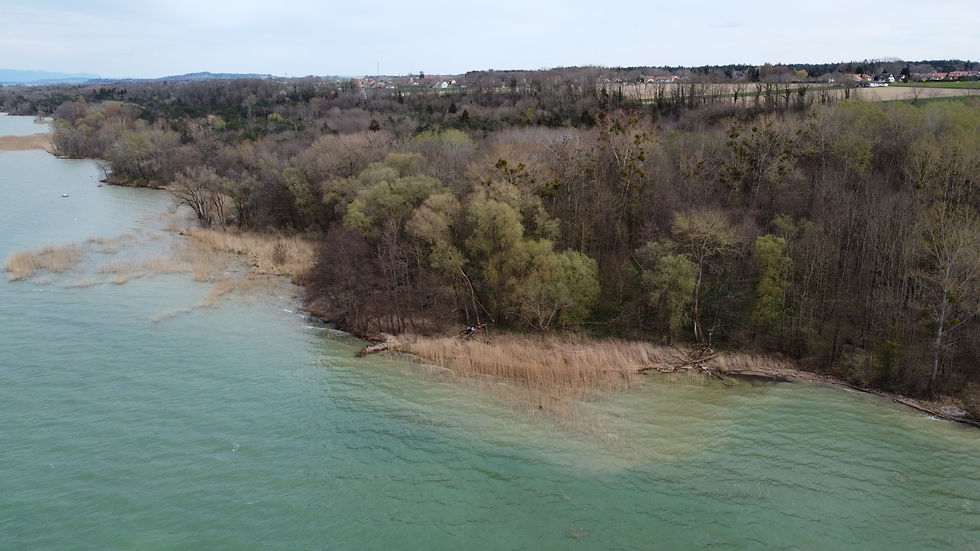 Estavayer