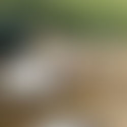 Meet our newest employees