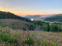 8C9459BA-6630-4446-8FE9-79CBF5B80952