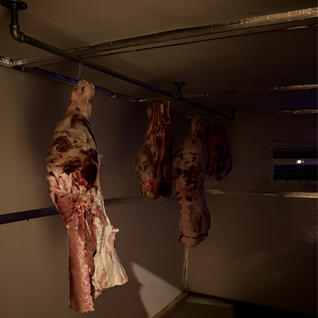 From Farm to Freezer: Our Journey of Self-Butchering Hogs 